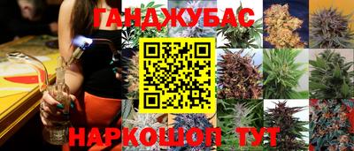эйфоретик Малгобек