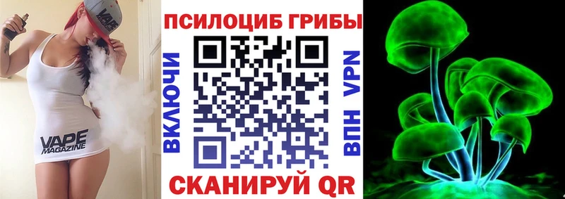 Псилоцибиновые грибы Psilocybe  магазин  наркотиков  Чусовой 