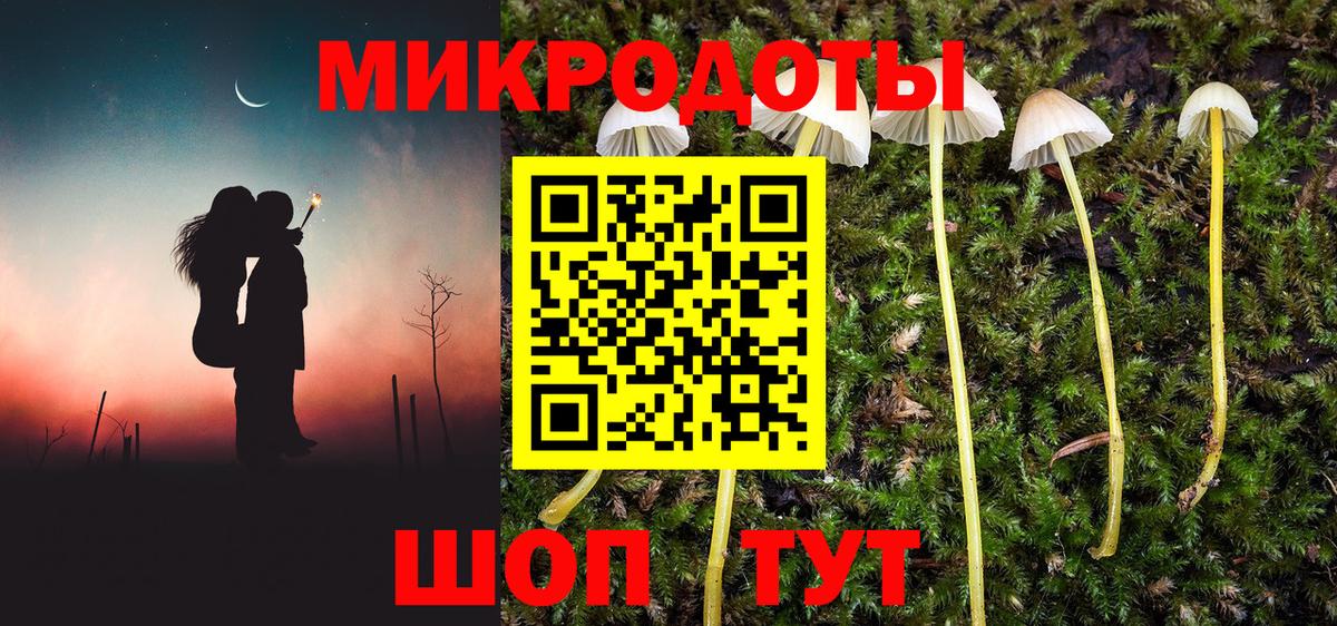 Галлюциногенные грибы Psilocybe Чусовой